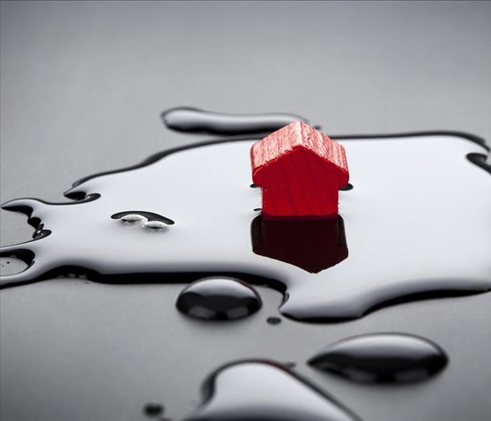 Model home in water puddle