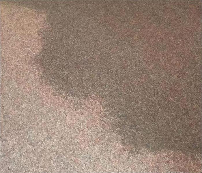 Wet Carpet