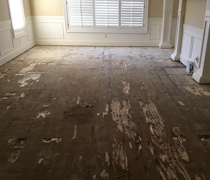 water damaged floor; flooring removed exposing subfloor