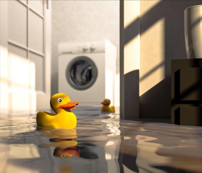 yellow duck floating in flooded basement