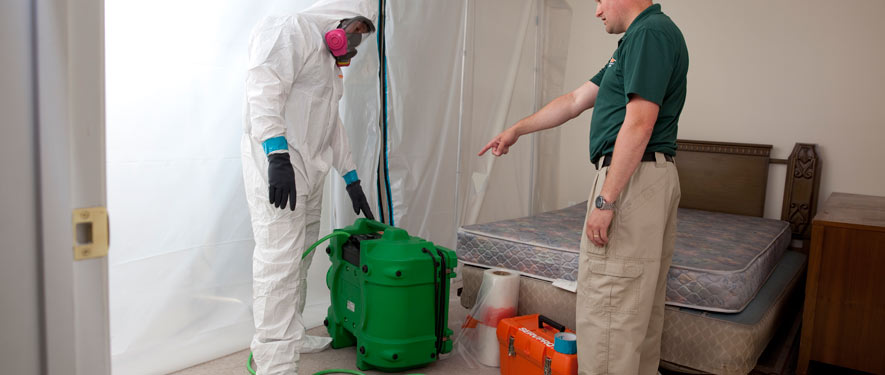 St. Petersburg, FL mold removal process